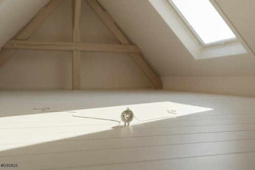 ciondolo riccio monolineare 3D